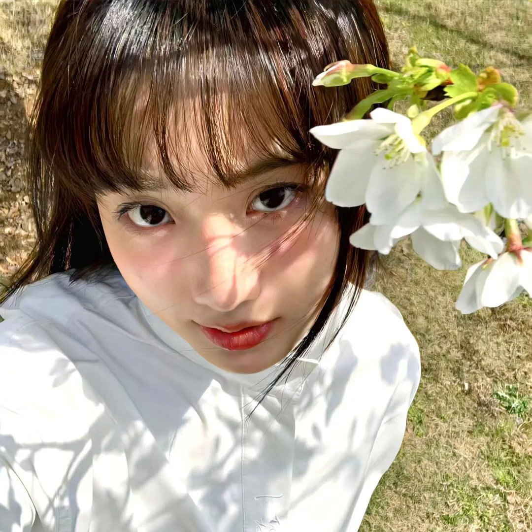 爸爸的木房子