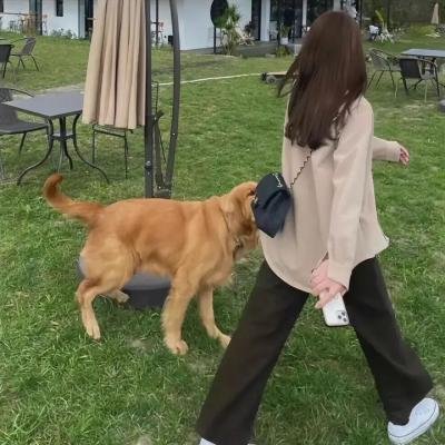 命运悲鸣曲